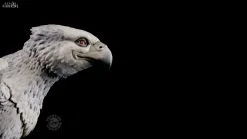 Harry Potter - Figurine Harry Potter & Buck Édition Limitée, Q-Fig Max -Jeux Vidéo Soldes Magasin harry potter figurine harry buck edition limitee q fig max 4